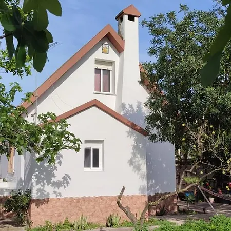 Casita De Papel *
